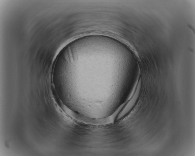 X0000091331530200708311427