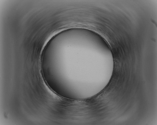 X0000091331531200708311427