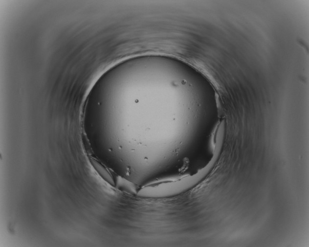 X0000091331532200708311427