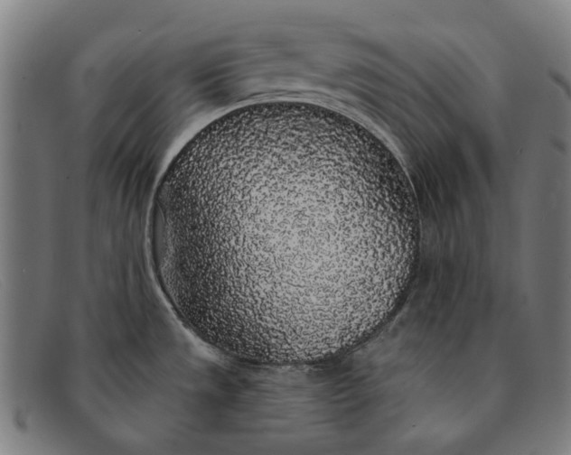 X0000091331533200708311427