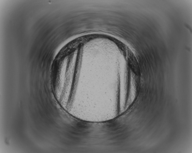 X0000091331534200708311427