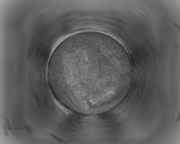 X0000091331535200708311427