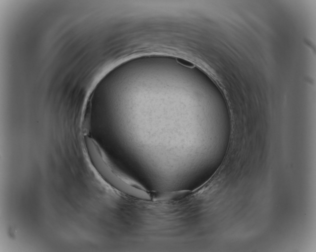 X0000091331536200708311427