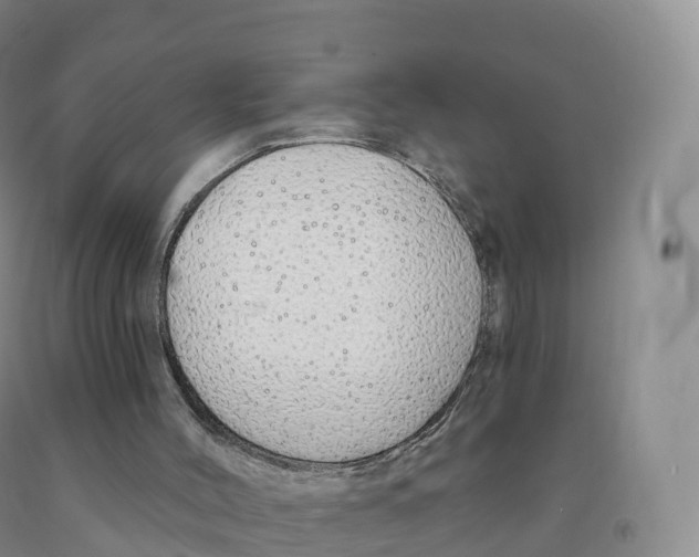 X0000091330004200709071207