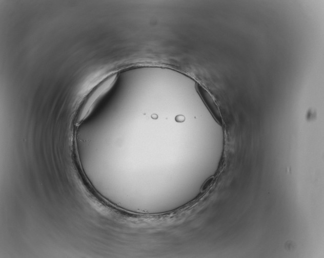 X0000091330005200709071207