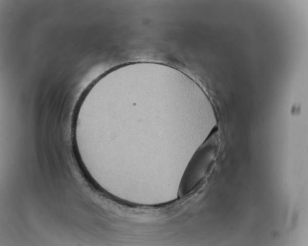 X0000091330008200709071207