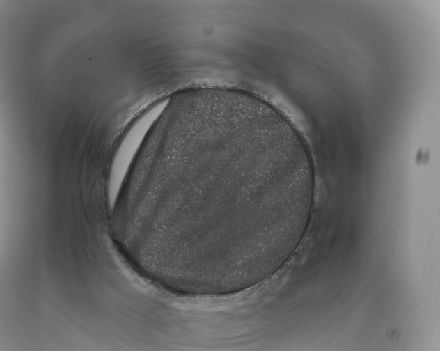 X0000091330009200709071207