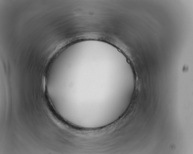 X0000091330013200709071207