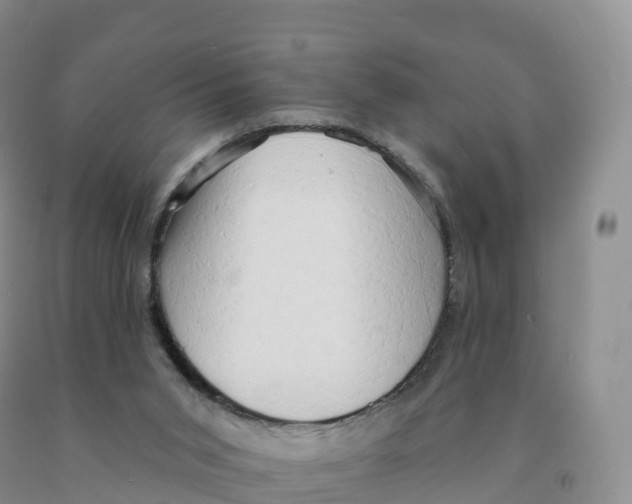X0000091330015200709071207
