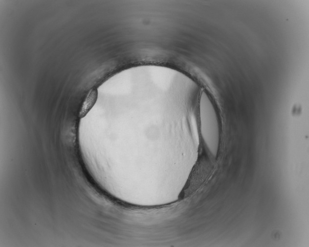 X0000091330017200709071207