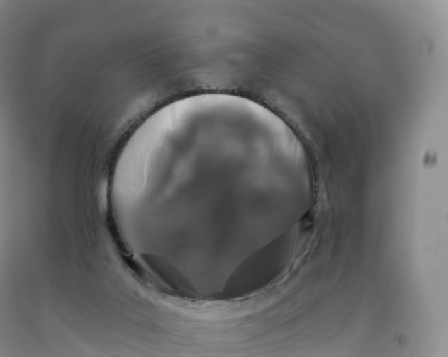 X0000091330019200709071206