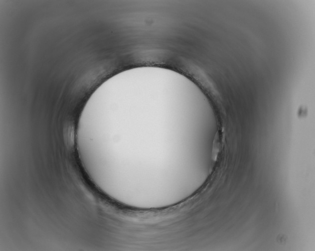 X0000091330021200709071206