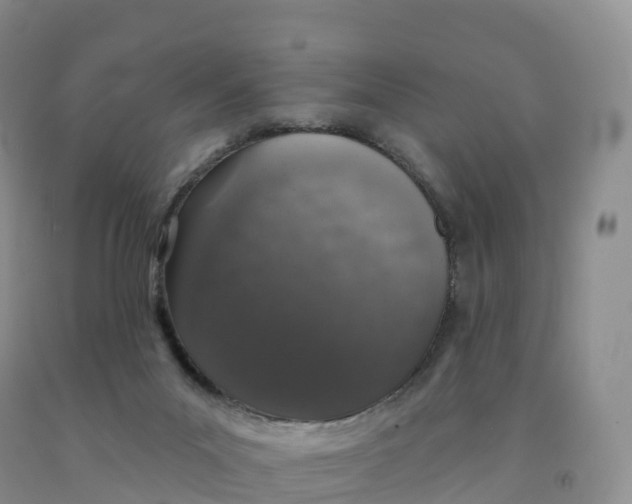 X0000091330023200709071206