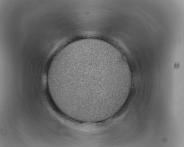 X0000091330024200709071206