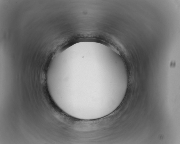 X0000091330025200709071206