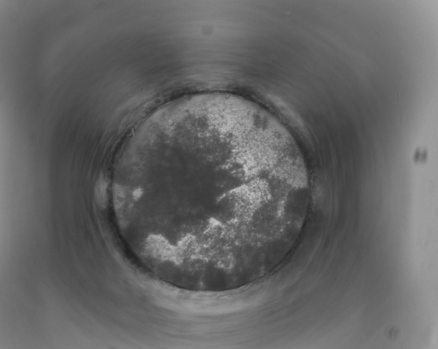 X0000091330026200709071206
