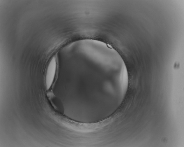 X0000091330027200709071206
