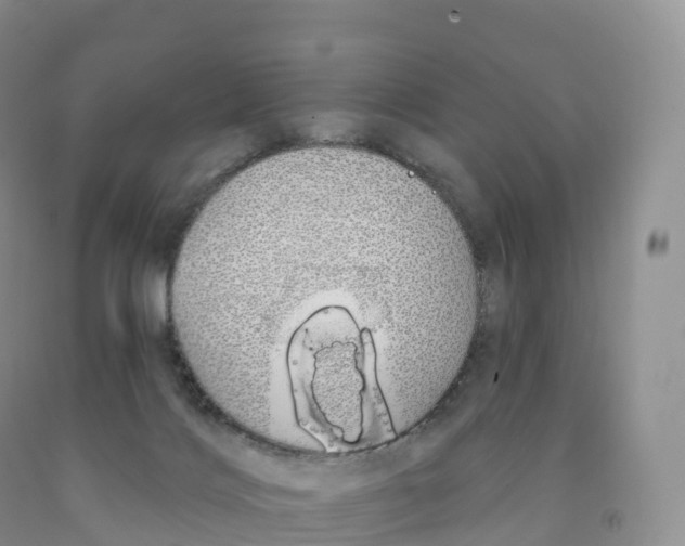 X0000091330028200709071206