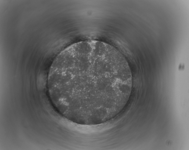 X0000091330030200709071206
