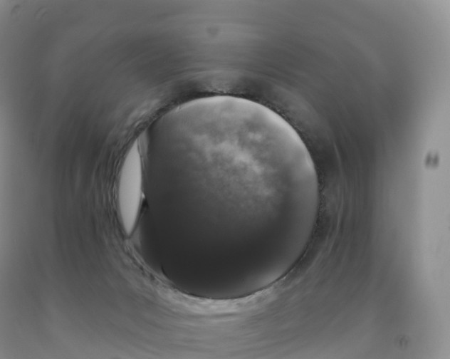X0000091330031200709071206