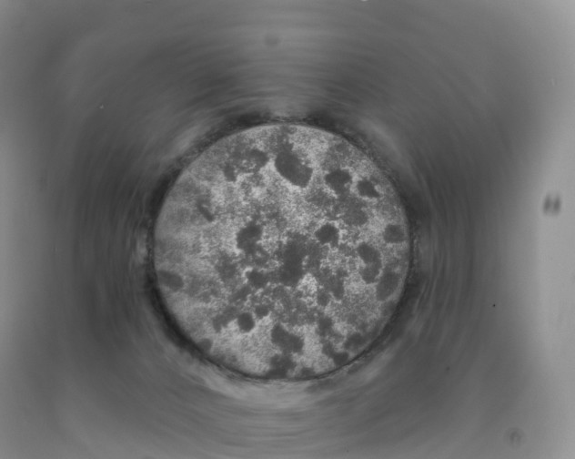 X0000091330032200709071206