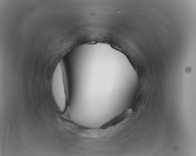 X0000091330033200709071206
