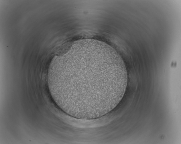 X0000091330034200709071206