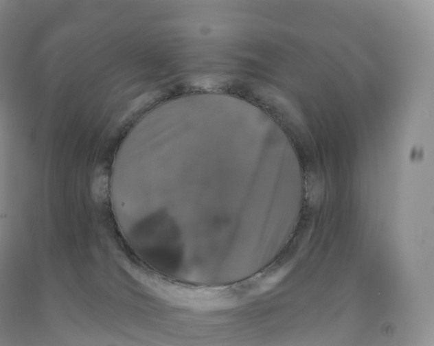 X0000091330036200709071206