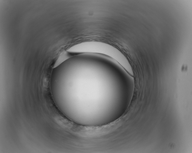 X0000091330037200709071206