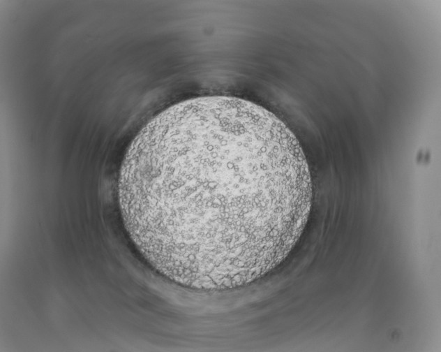 X0000091330038200709071206