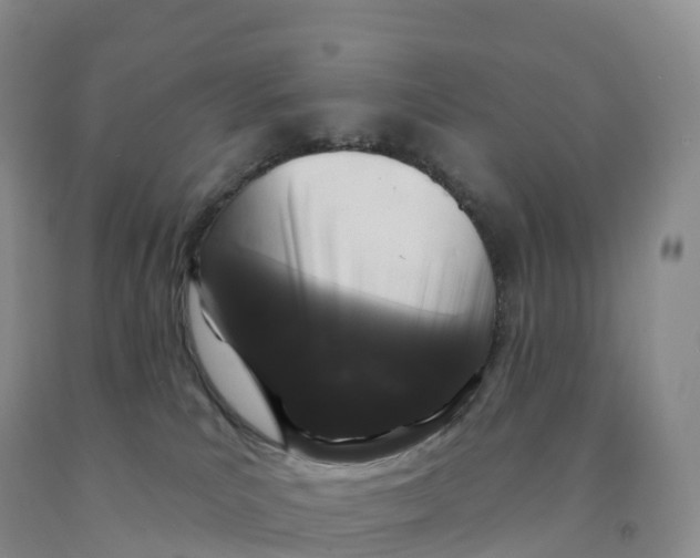 X0000091330039200709071206