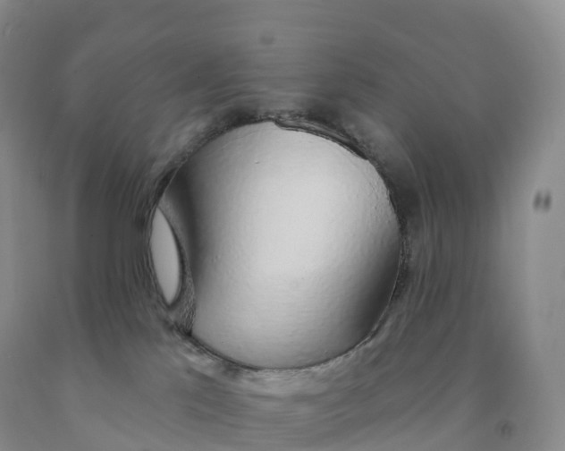 X0000091330041200709071206
