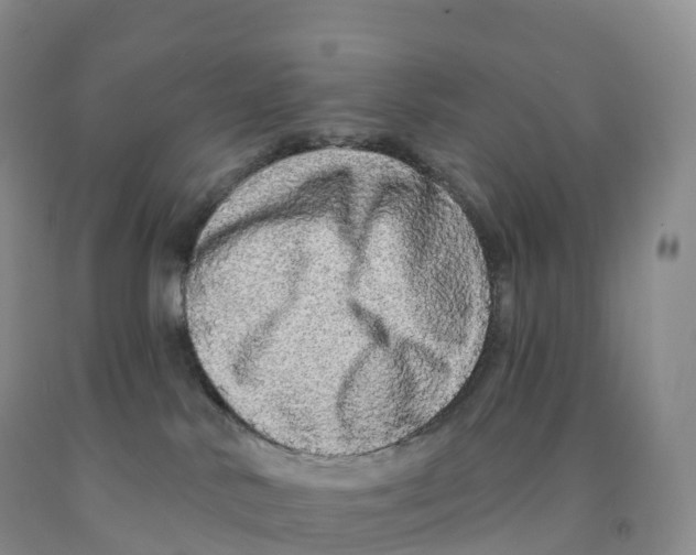 X0000091330042200709071206