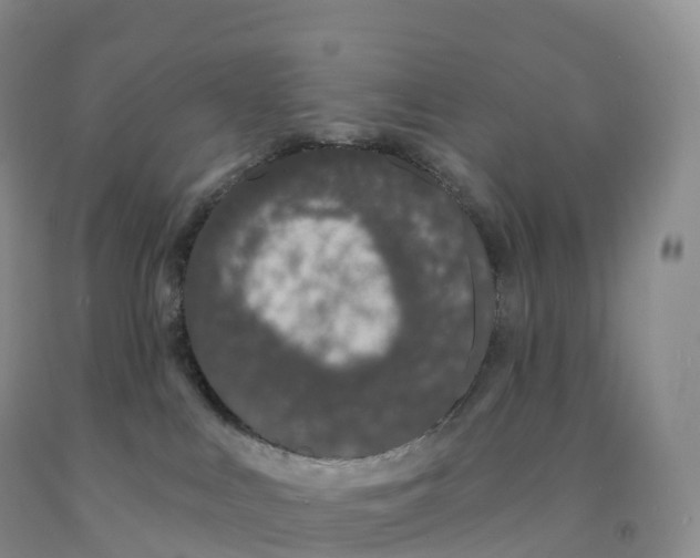 X0000091330043200709071206
