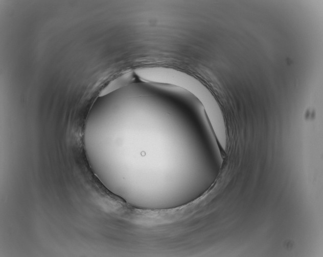 X0000091330045200709071206