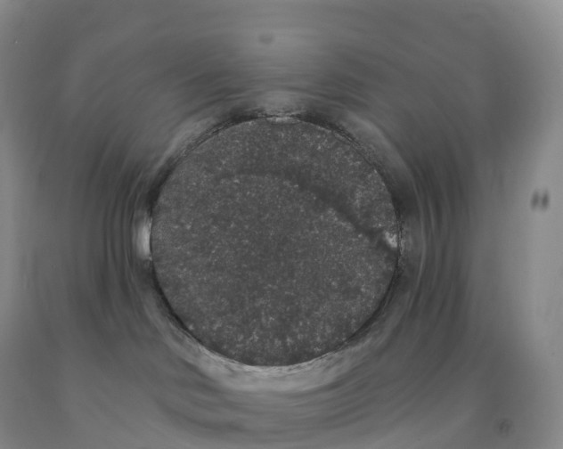 X0000091330046200709071206
