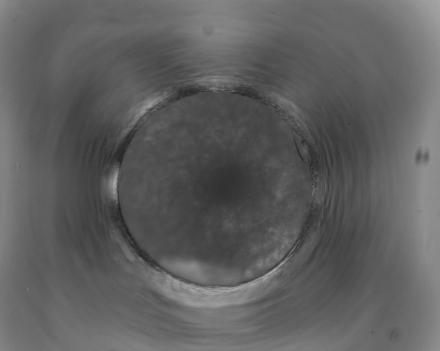 X0000091330047200709071206