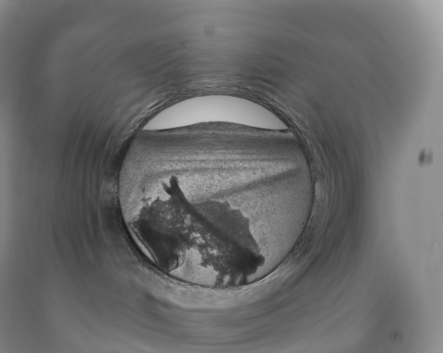 X0000091330048200709071206