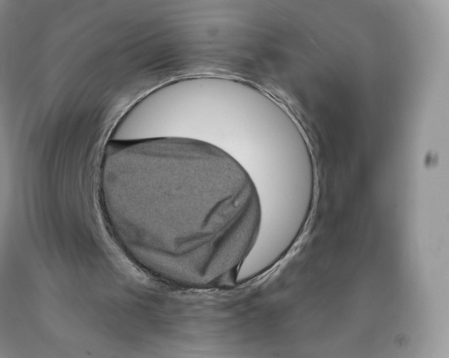X0000091330049200709071205