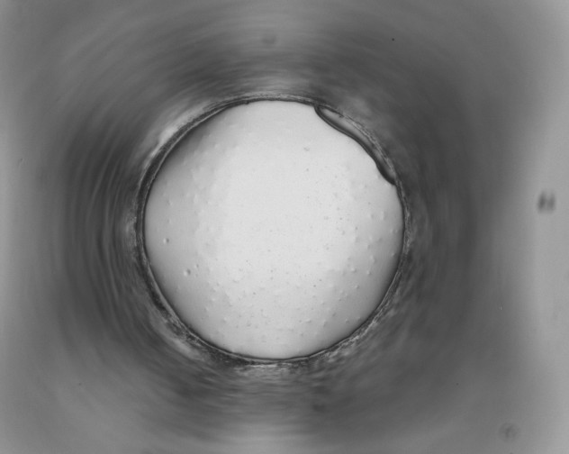 X0000091330050200709071205