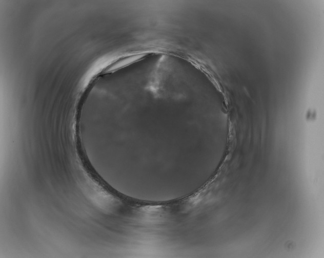 X0000091330054200709071205