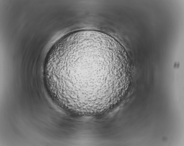 X0000091330055200709071205