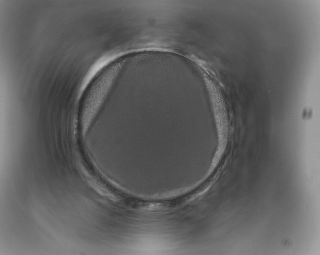 X0000091330056200709071205