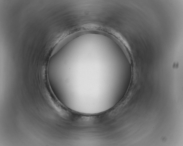 X0000091330057200709071205