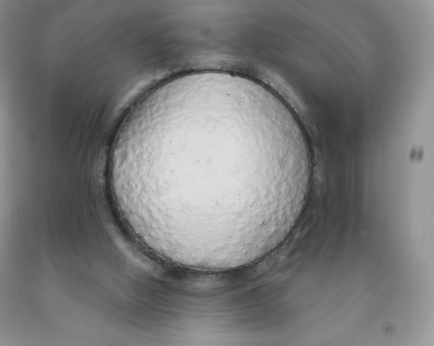 X0000091330058200709071205