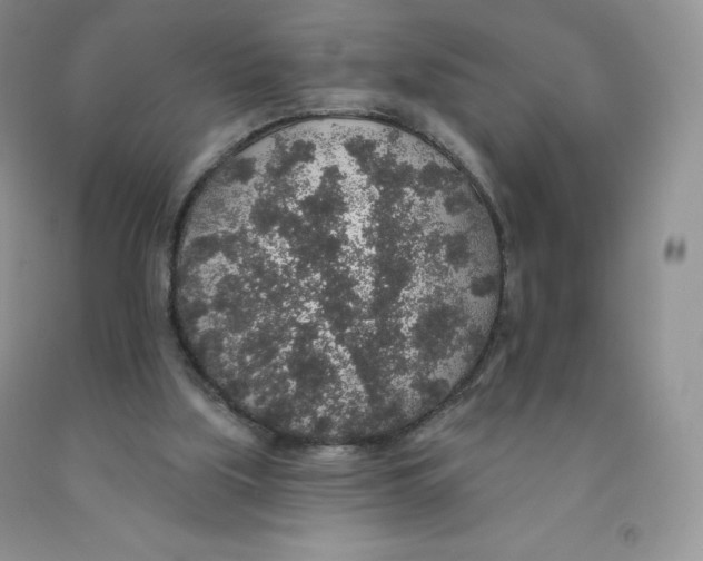 X0000091330059200709071205