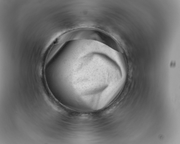 X0000091330060200709071205