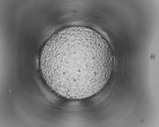 X0000091330061200709071205