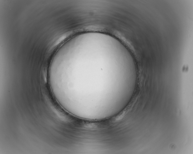 X0000091330062200709071206