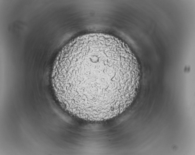 X0000091330065200709071206